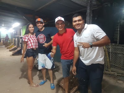 Photos of Cancha Mini Tejo Las Palmas