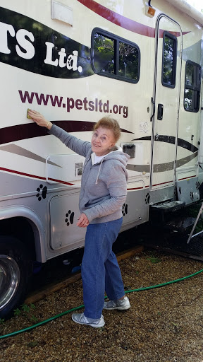 Pets Ltd. - Visual