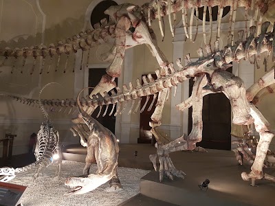 Photos of Museo de Ciencias Naturales