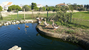 Photo n°17 de Ferme Pédagogique Du Roy D'espagne à Marseille (Ferme pédagogique)