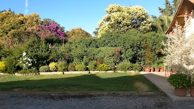 Photos of Departamentos con&eacute;