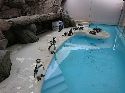 Photos of Uozu Aquarium