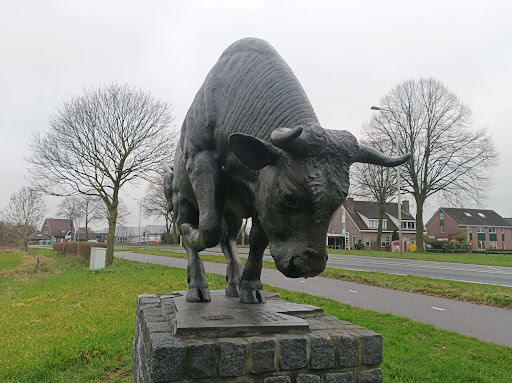 Montfoort - Visual