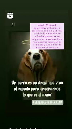 Opinii despre Veterinaria Dra. Luna în Huaura - Veterinario