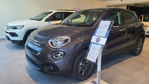 Fiat Alzira - Grupo Palacios - Thumbnail