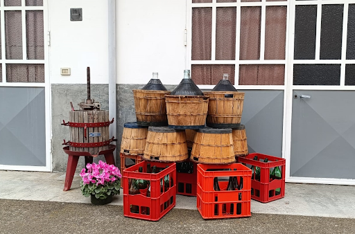 Oldano Luigi Vini Gallery - Italy