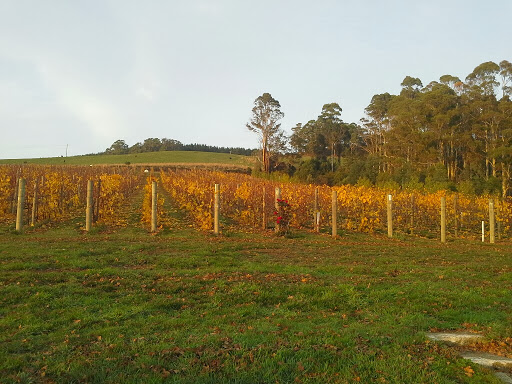 APOGEE TASMANIA - Thumbnail