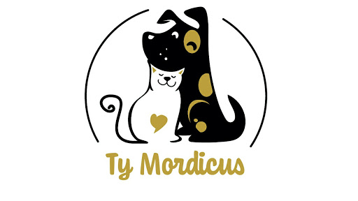 Ty Mordicus - Thumbnail