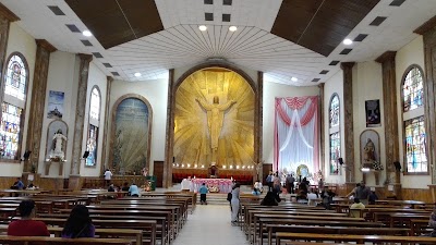 Photos of Catedral de La Pur&iacute;sima de Macas