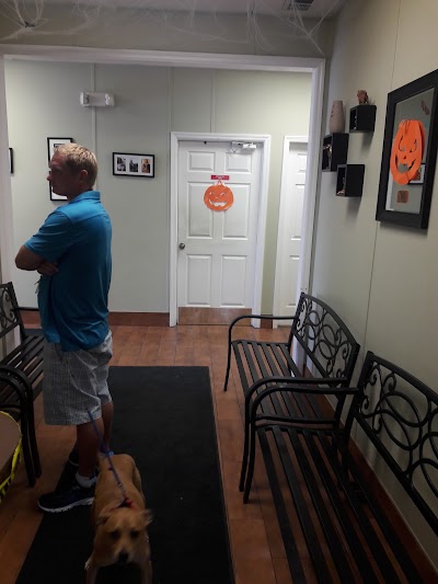 Photos of SPCA Clinic