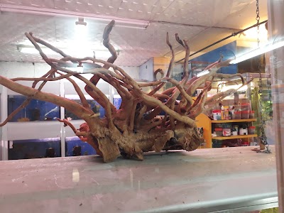 Photos of aspetshop