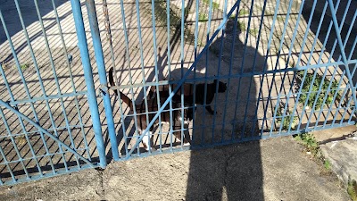 Photos of Instituto Municipal de Medicina Veterin&aacute;ria Jorge Vaitsman
