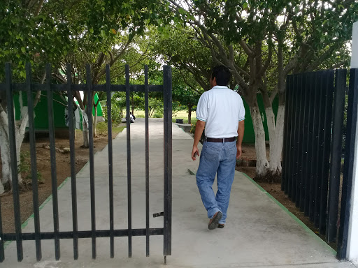 escuela iebo - Thumbnail