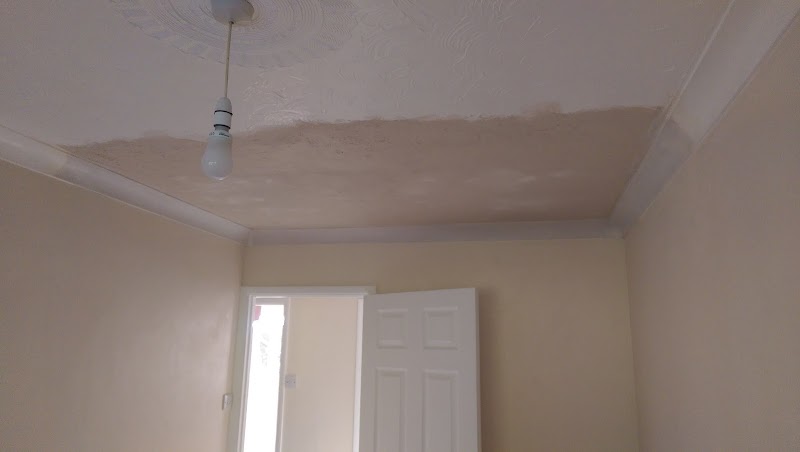 Garden & Home Solutions photo 2