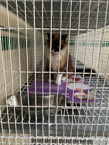 Fotografía de Veterinaria Mundo Animal Del propietario