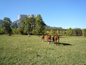 Photo n°19 de Les Chevaux d'Edoras à Chichilianne (Centre de formation)