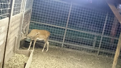 Photos of Racecourse Del Garigliano
