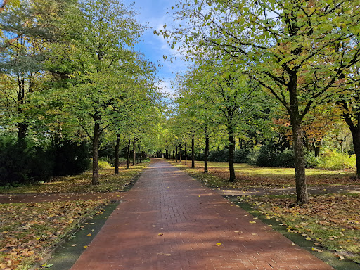 Friedhof Ahrensburg, Neuer Teil - Thumbnail