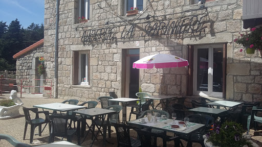 Photo 5 - LE SAN PALOU'S KNETT