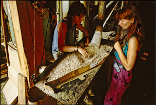 Photo n°22 de Huilerie Moog à Bram (Magasin d'alimentation bio)