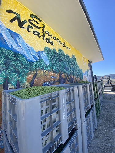 ΕΛΑΙΟΤΡΙΒΕΙΟ ΝΤΑΛΟΣ ΕΜΜΑΝΟΥΗΛ - Ένωση