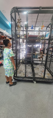 Reviews of The Pet Shop Hackney in London - Shop