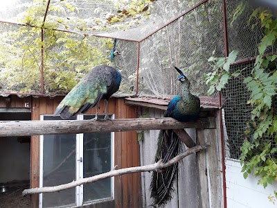 Photos of Birdgarden