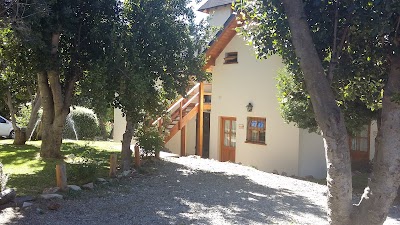Photos of Viejo Cipres