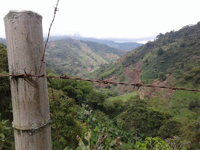 Photos of Pargue Principal