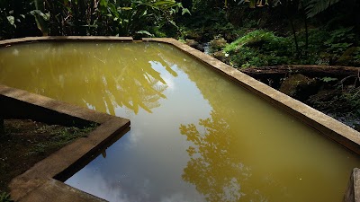 Photos of Papillote Wilderness Retreat