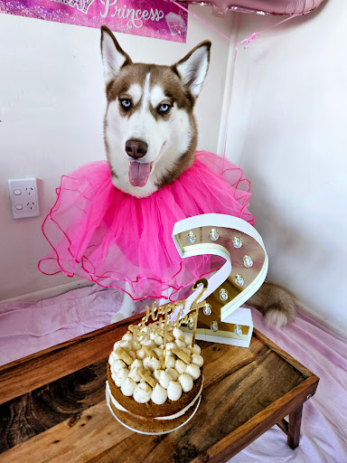 Pupcakes NZ - Thumbnail