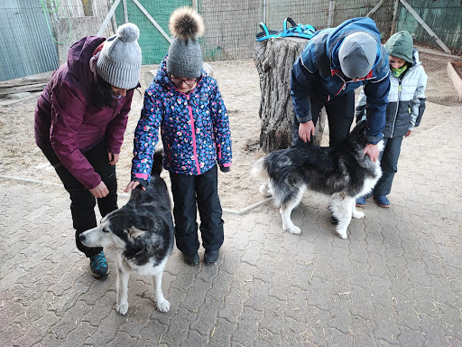 Goldenmountain-dogsport-shop - Thumbnail