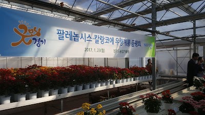 Photos of 선인장연구소