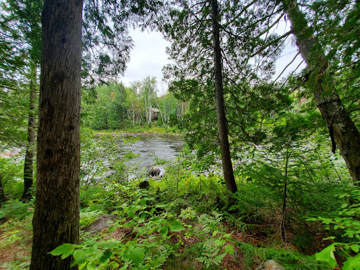 Grande-jetée Forêt Ouareau - Thumbnail