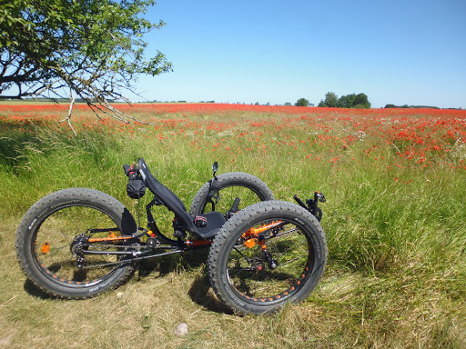 Ostsee3rad Liegedreirad und Fahrrad Vermietung - Thumbnail