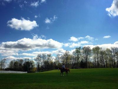 Calypso Farm