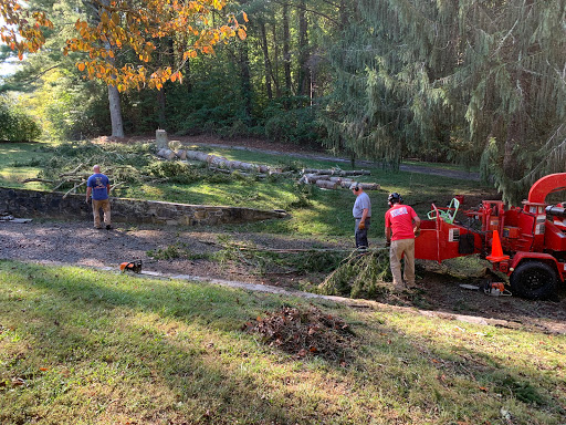 Pisgah Tree Service Gallery - United States