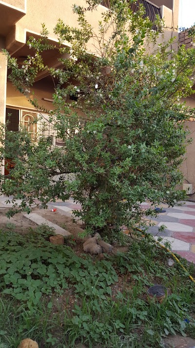Photos of افران ابو حيدر
