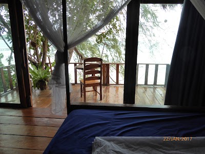 Photos of Treehouse Bungalows