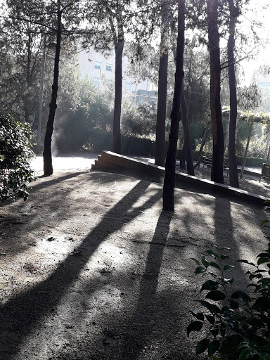 Jardí de la Farinera