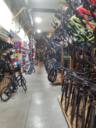 GEARS Bike Shop Mississauga - Thumbnail