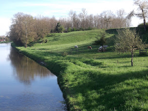Photo n°1 de Vente Directe de viande bovine Charolaise à Briennon (Éleveur)