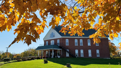 Ely Manor - Visual
