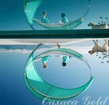 Oaxaca Gold - Thumbnail