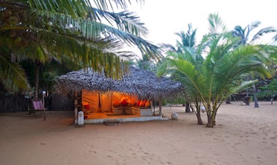 Photos of Dolphin Beach Resort