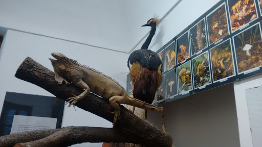 Museo Parco Lame del Sesia