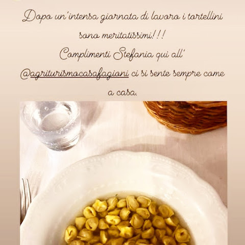 Agriturismo Casa Fagioni by null