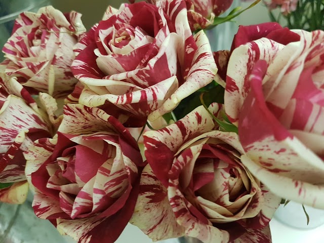 Fiorista Su Planu Atelier floreale Ketty e Tiziana