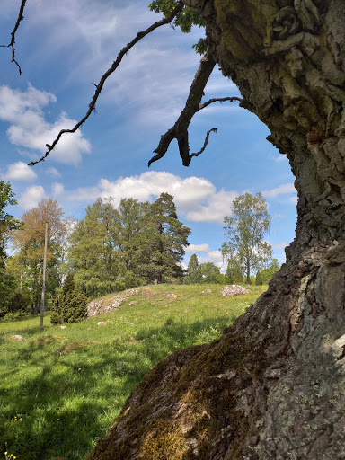 KohultsEken - Visual