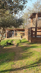 Photo n°10 de Chambre d'Hôtes le petit Ranch à Los Masos (Chambre d'hôtes)